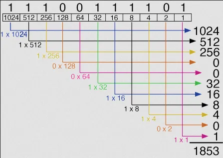 Binary number system
