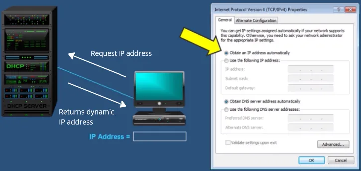 Example of DHCP returning dynamic IP address