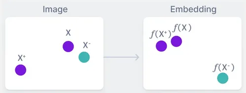 Embedding result