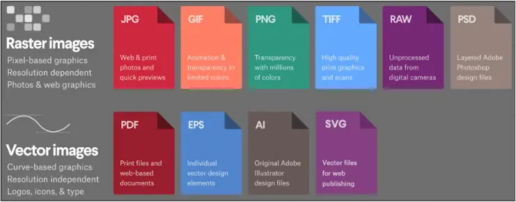 Common raster and vector image common format