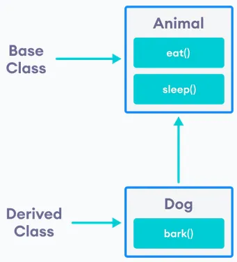 Inheritance of an animal and a dog