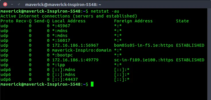 netstat command on Linux