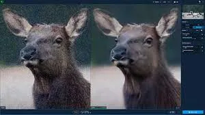 An image with random dots/noise that disrupts the image is removed