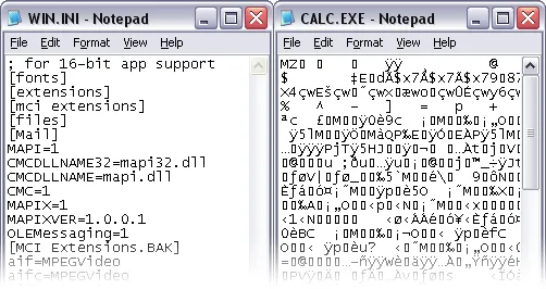 TXT file in binary form