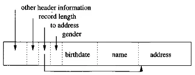 Variable-length record