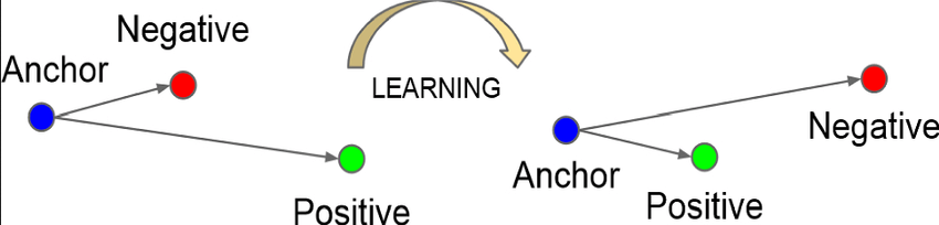 Anchor, positive, and negative embedding before and after learning