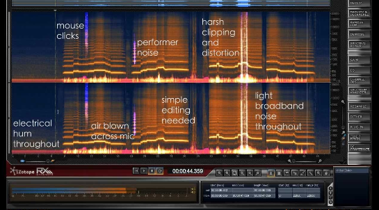 Identifying unwanted elements in digital audio