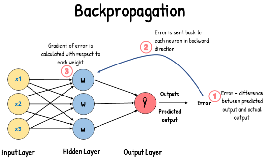 Backpropagation