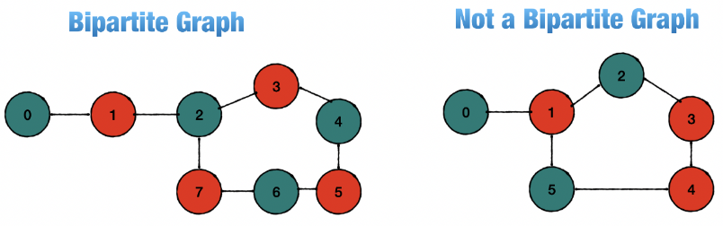 Bipartite graph