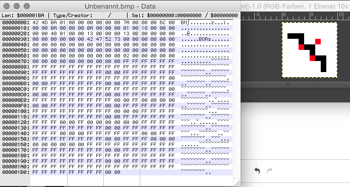 Bitmap binaries data