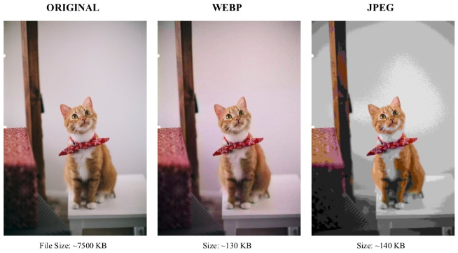 Comparison between JPG and WebP compression. WebP does better than JPG