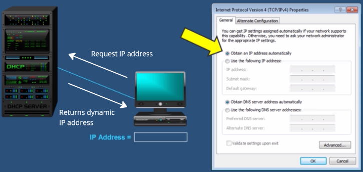 Example of DHCP returning dynamic IP address