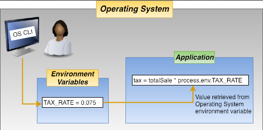 Environment variable