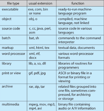 Type of files