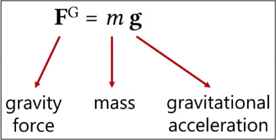 Equation of gravity force taking account of mass and gravitational accelaration