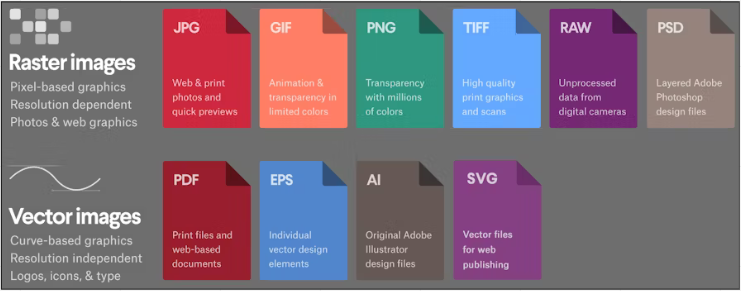 Common raster and vector image common format