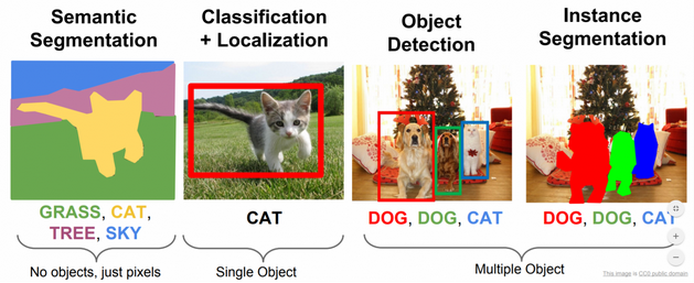 Grass, cat, tree, and sky is segmented into four distinct region