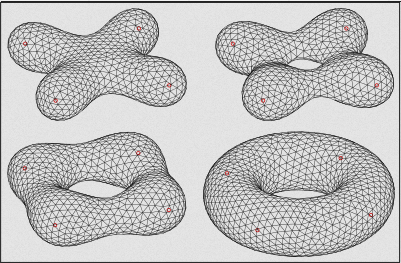 Example of implicit surface forming a mathematical shape such as torus