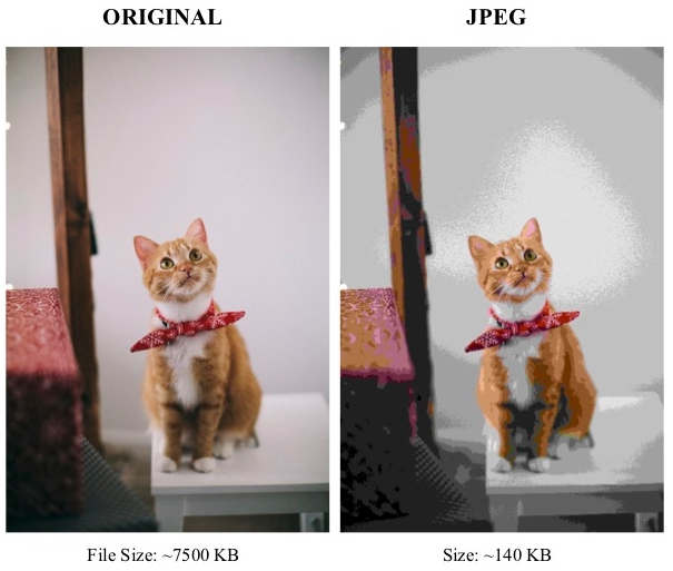 Comparison between original and compressed JPG image