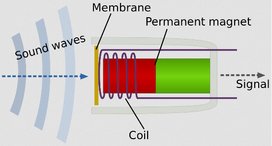 Inside a dynamic microphone