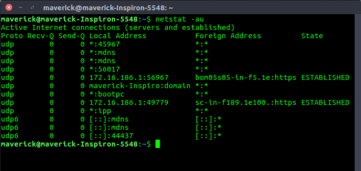 netstat command on Linux