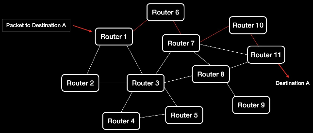 A network with many router