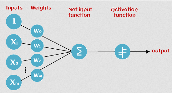 Perceptron