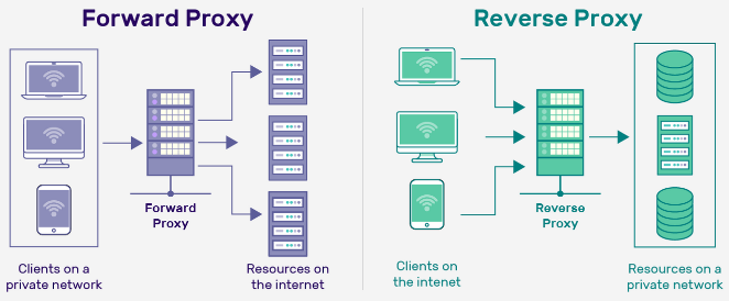 Comparison between forward and reverse proxy