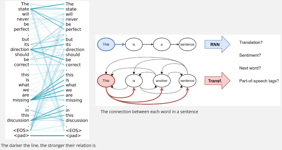 Self-attention visualization 2