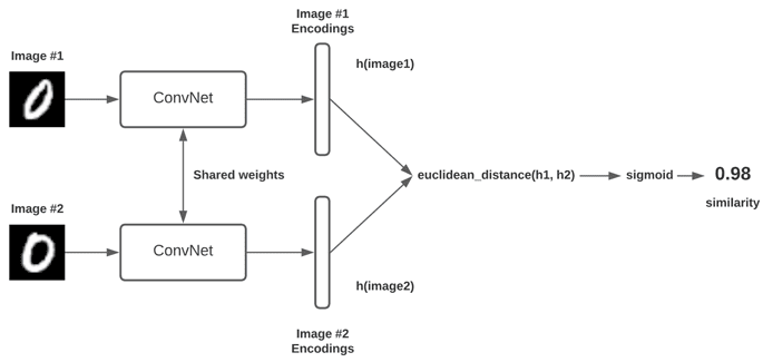 Siamese network illustration