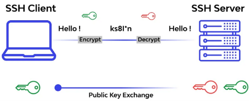 SSH encryption process