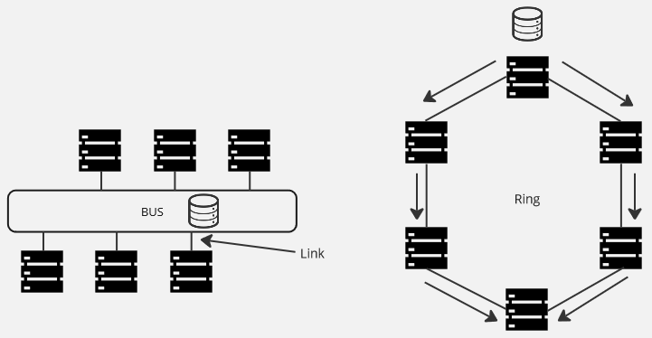 Topology