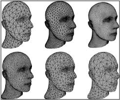 A human face modeled using triangular meshes