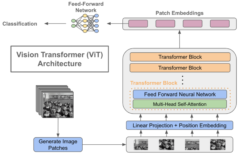 ViT architecture